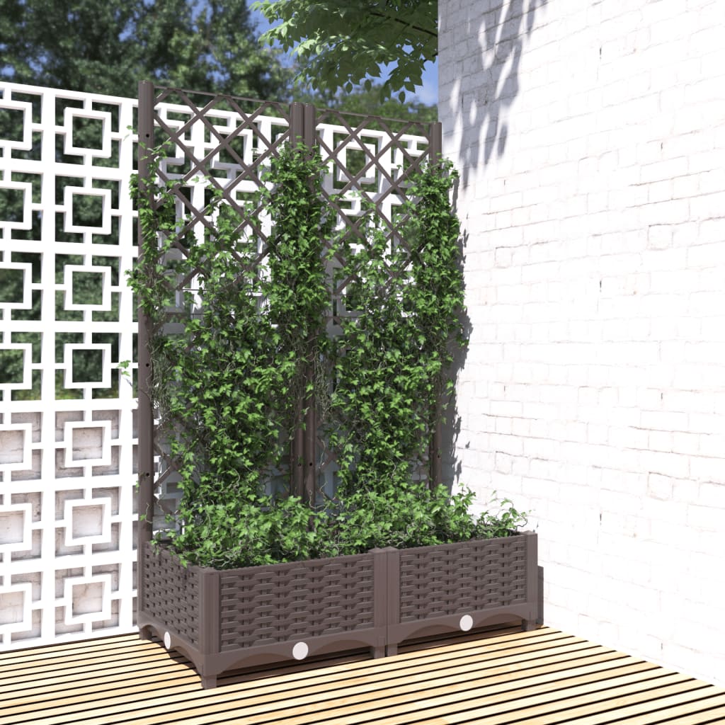 Jardinera Con Enrejado Pp Marrón 80x40x121,5 Cm_1