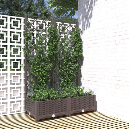 Jardinera Con Enrejado Pp Marrón 80x40x121,5 Cm_1