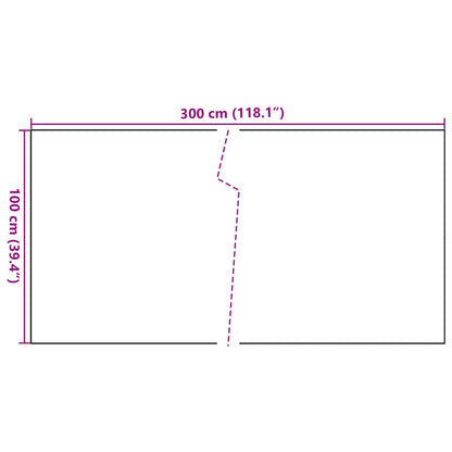 Toldo Para Balcón Ratán Sintético Marrón Claro 300x100 Cm / Vetonek_3