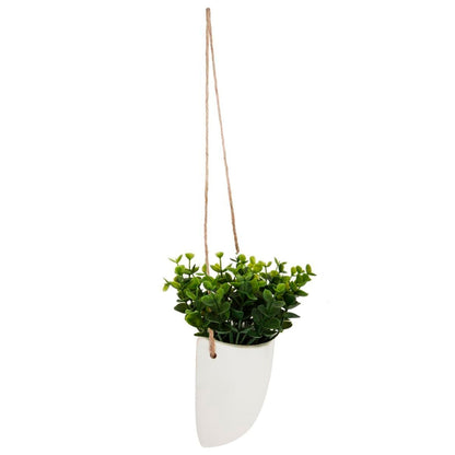 Planta De Pared Colgante H20_2