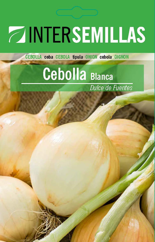 Sobre De Semillas De Cebolla Blanca Dulce Fuentes