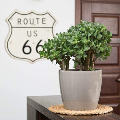 Macetero Magnolia 250 Taupe_1