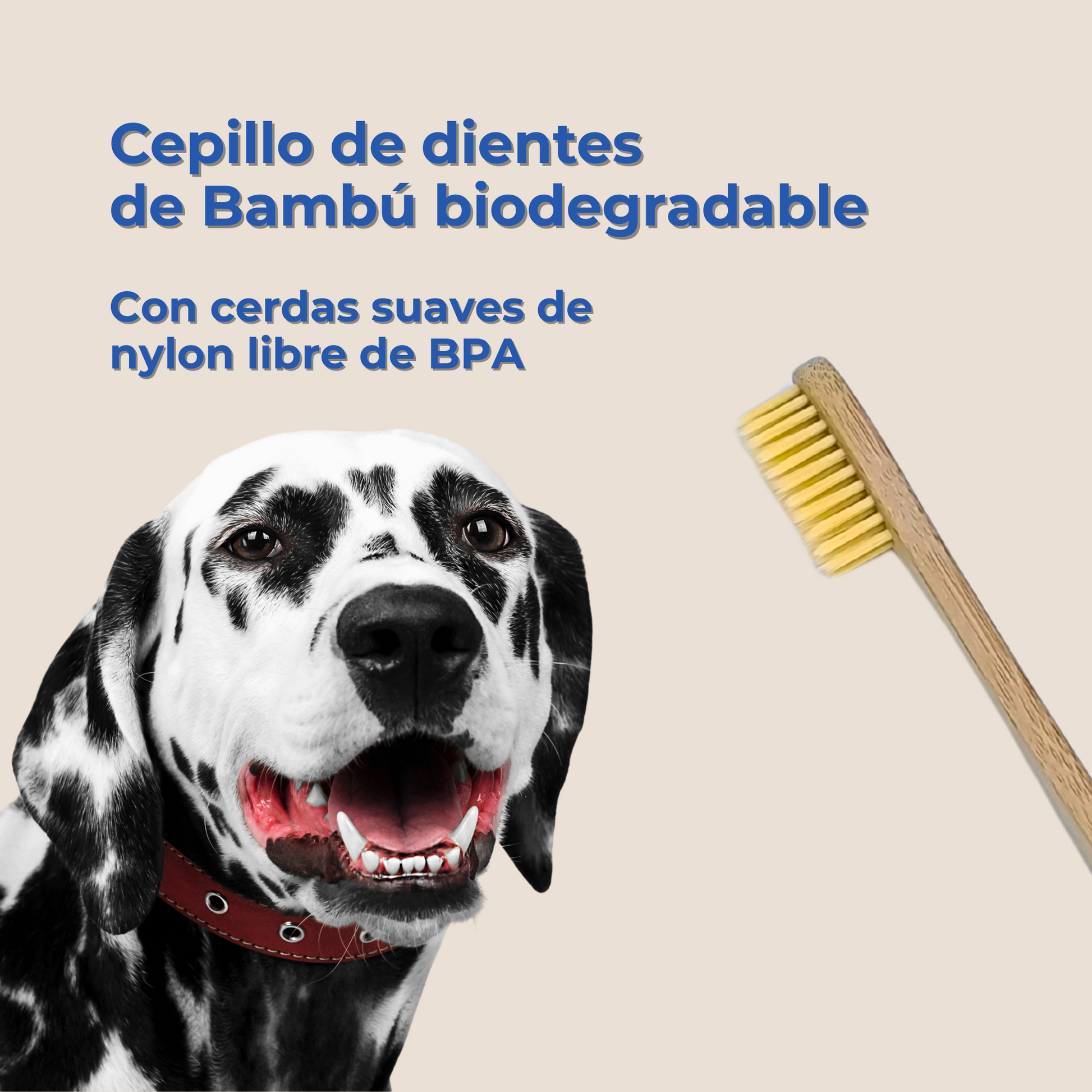 Cepillo de Dientes de Bambú para Perros y Gatos