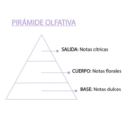 Esencia Natural White Musk SYS Aromas 12 ml | Aroma Floral y Fresco | Para Quemadores y Humidificadores_3