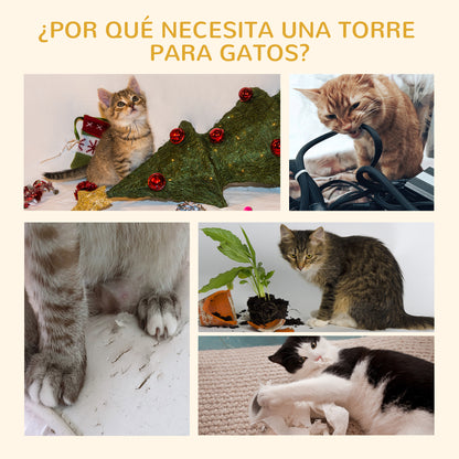 Pawhut Árbol Para Gatos De Suelo A Techo De 240-260 Cm Con Plataformas Gris_3