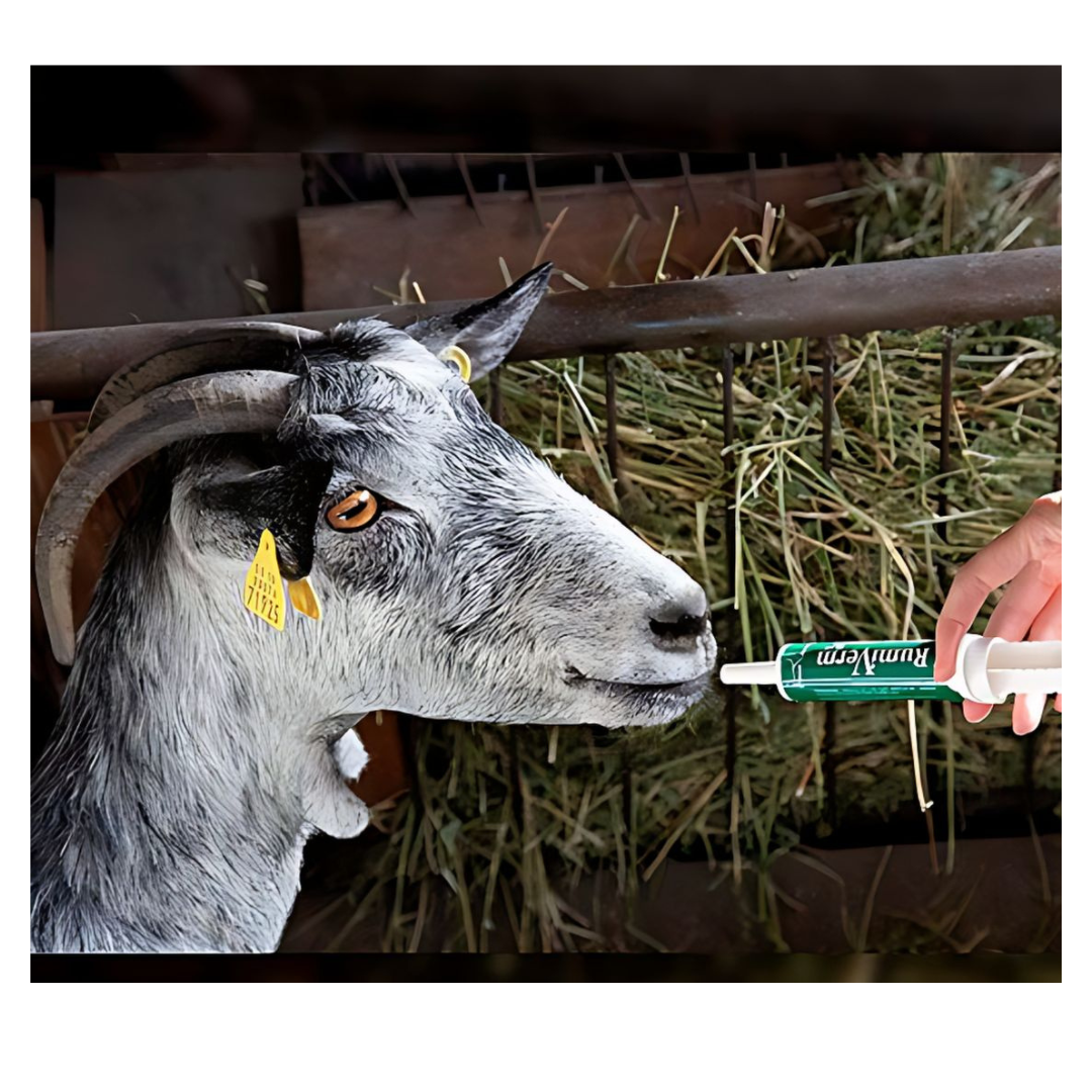 RumiVerm (30ml) - Complemento nutricional en pasta para cabras, ovejas y otros rumiantes – Apoyo digestivo_2