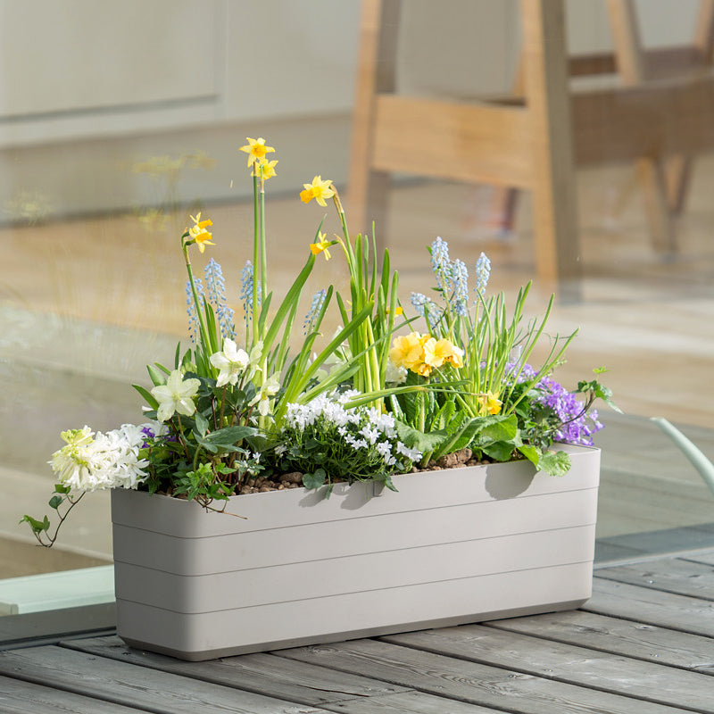 Jardineras Con Autorriego Berberis 60 Blanco/verde.