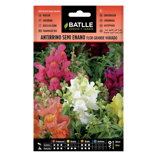 Semillas de Antirrino semi enano Batlle