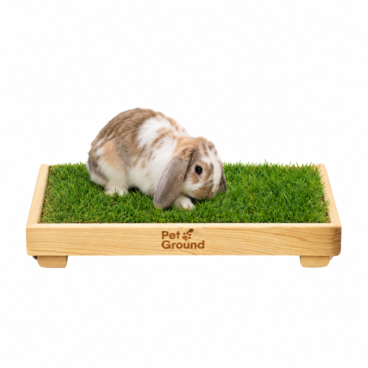 Petground, Cama de césped natural para Conejos, Caja De Madera, Accesorio, Mueble S: 62 X 42 Cm_0