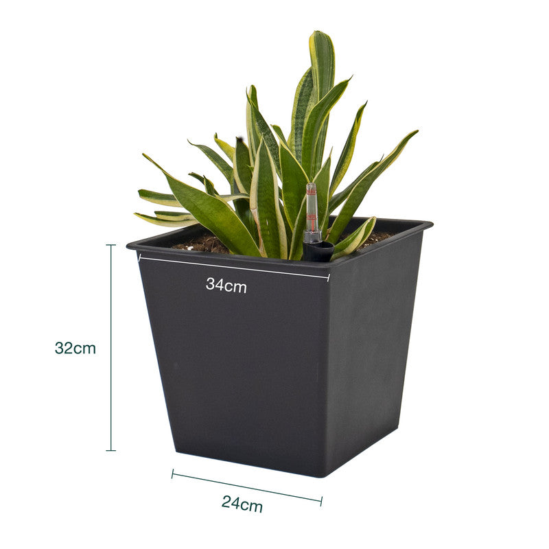 Pack De 3 Macetas Con Autorriego De Polipropileno 36 L 34x34x31 Cm Hortalia_3