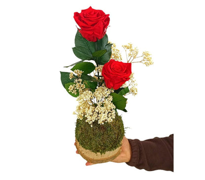 Kokedama Rosa Roja Preservada