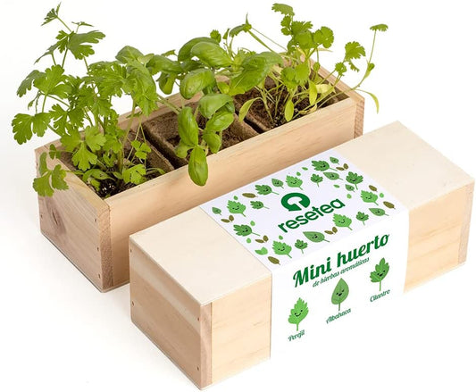 Mini Huerto Hierbas Aromáticas (perejil, Albahaca Y Cilantro) | Kit De Cultivo En Casa Fácil Y Natural_0