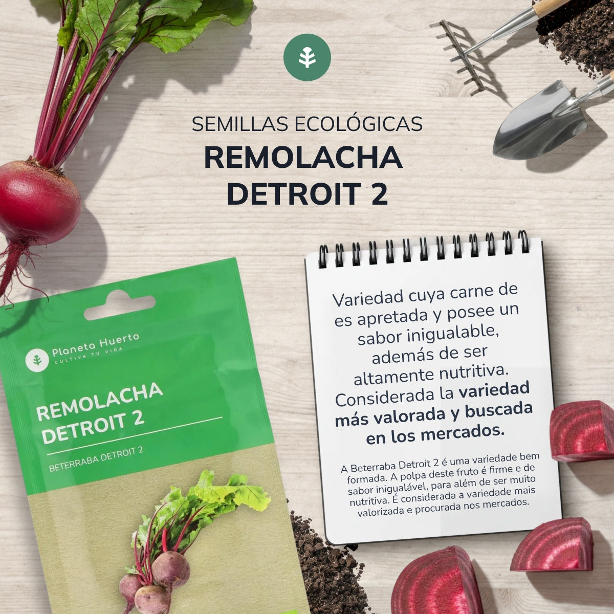 Semillas de Remolacha Detroit 2 ecológicas Planeta Huerto