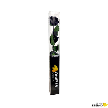 Mundo Eterno Rosa Preservada Negra 55cm_1
