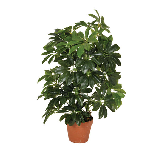 Planta Artificial Cheflara - Naturalidad Y Estilo Para Tu Hogar 1.45 M / Multicolor_0