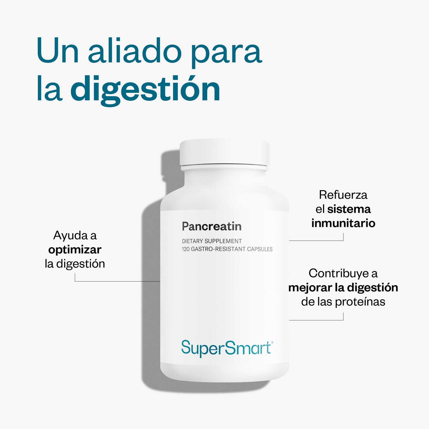 Pancreatin_2