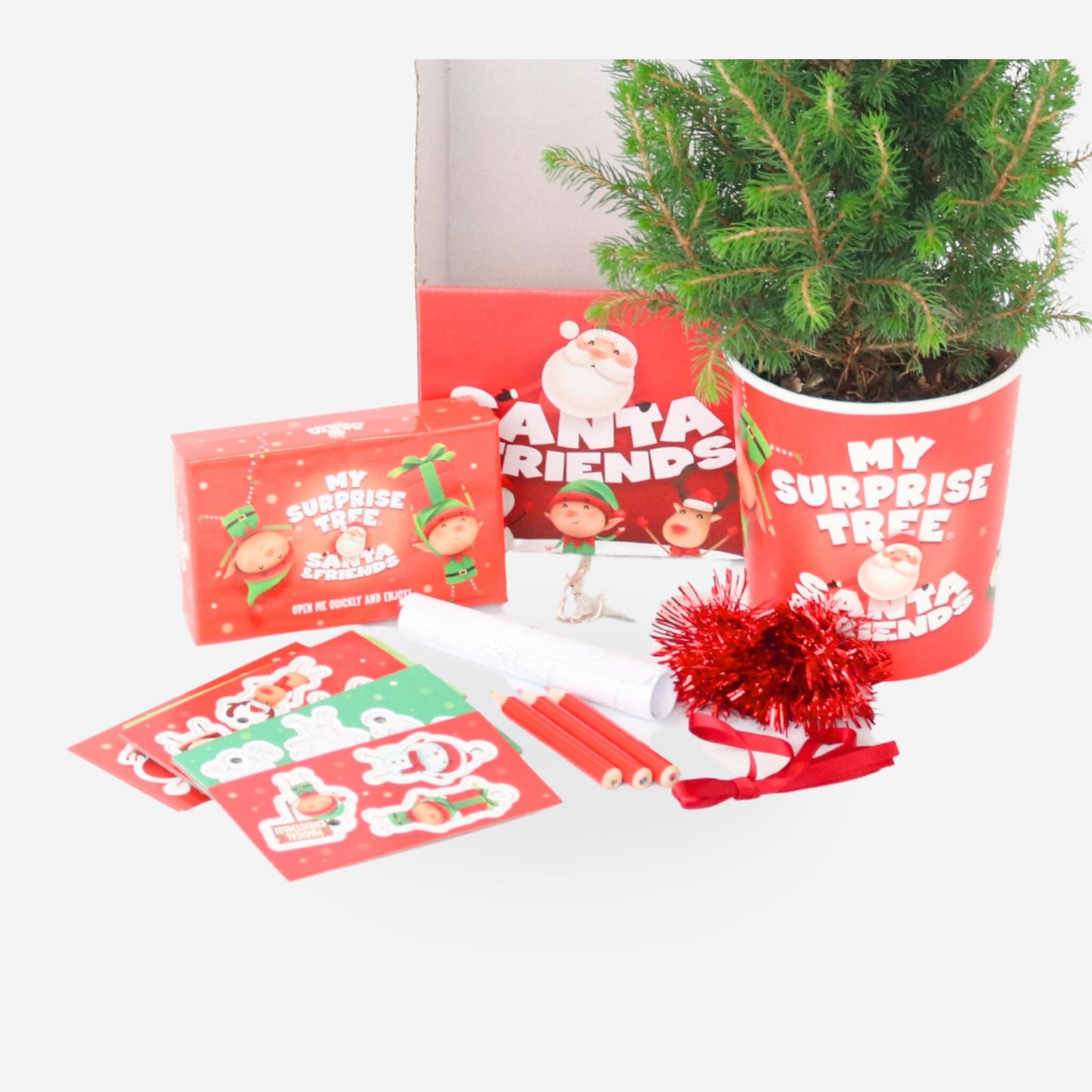 Abeto Enano Alberta - Picea Conica - Mini Árbol De Navidad Y Decoraciones_3