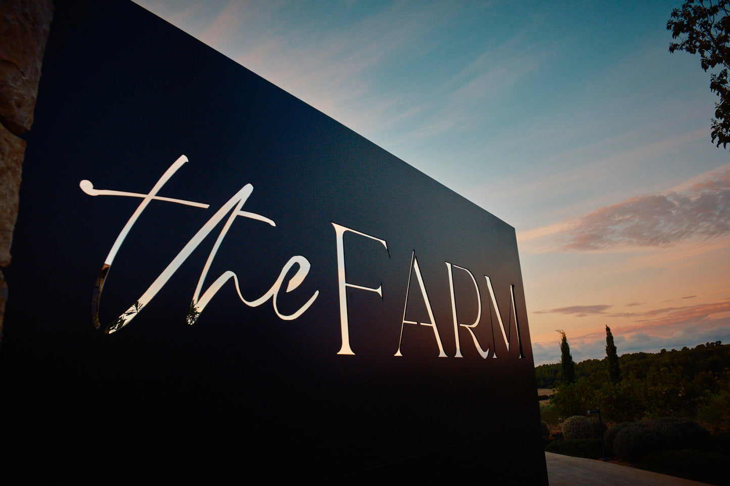 Aceite De Oliva Virgen Extra The Farm Mallorca 4 X 250 Ml_2