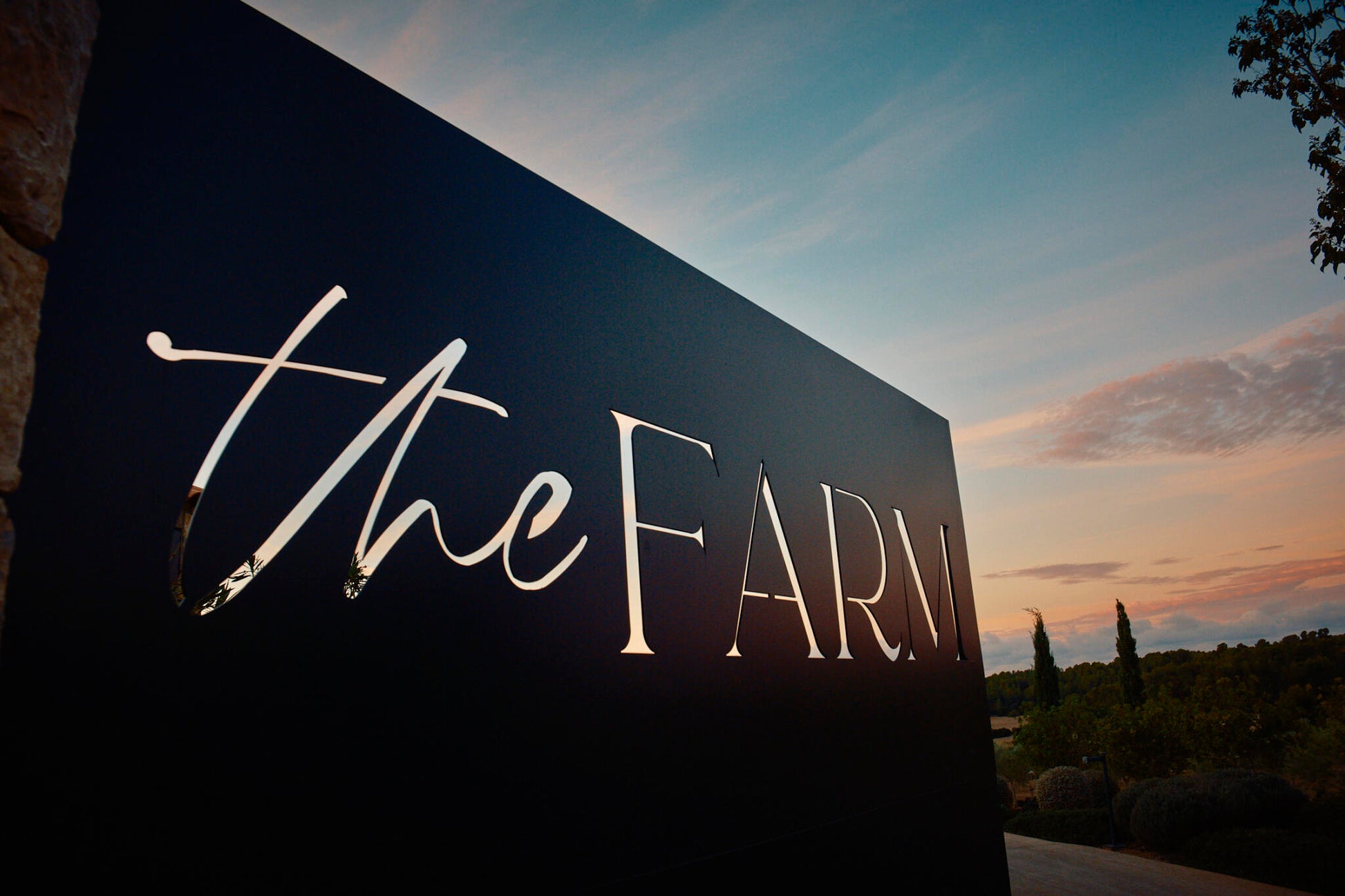 Aceite De Oliva Virgen Extra The Farm Mallorca 4 X 250 Ml_2