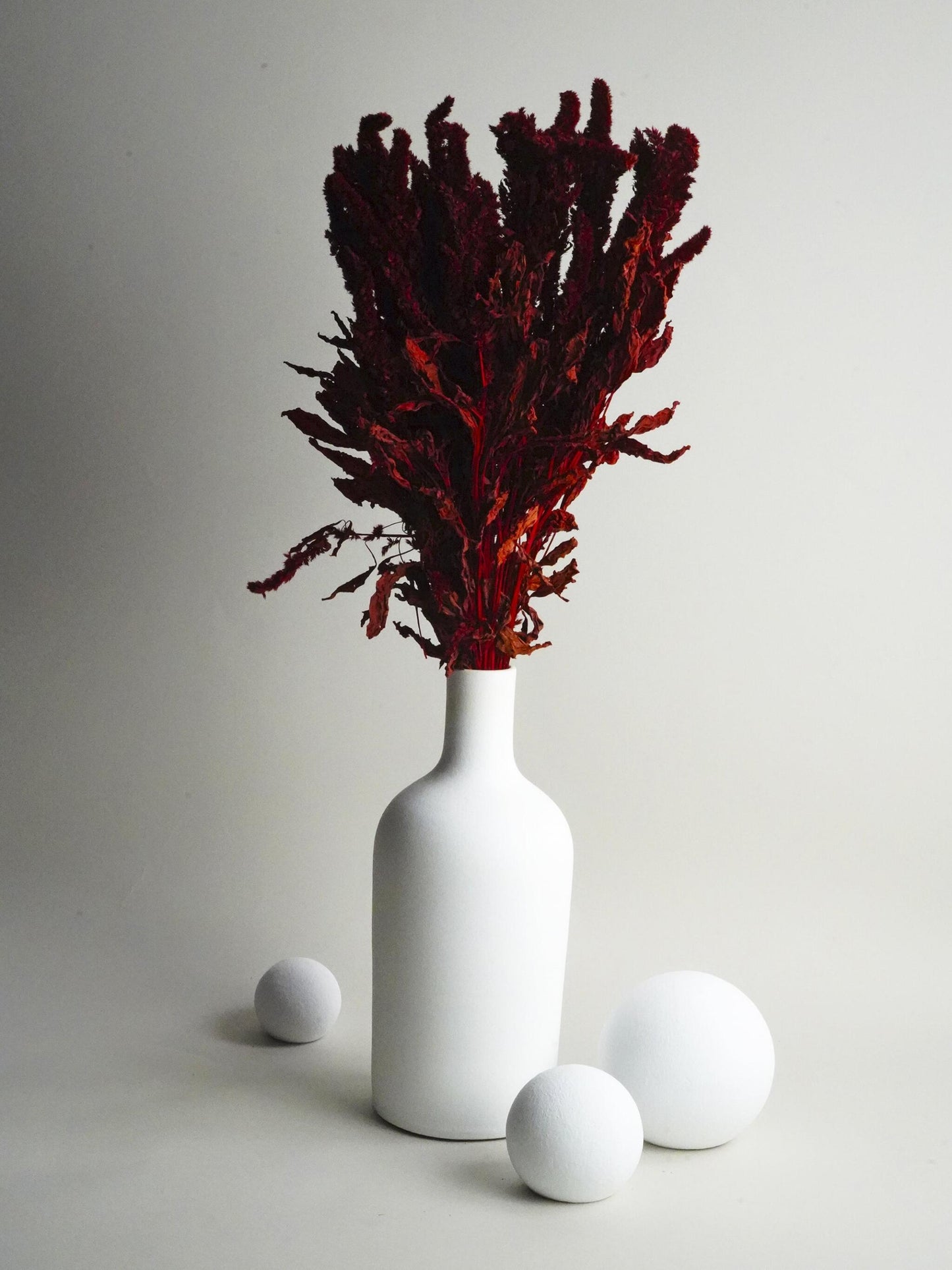 Amaranthus Preservada_0