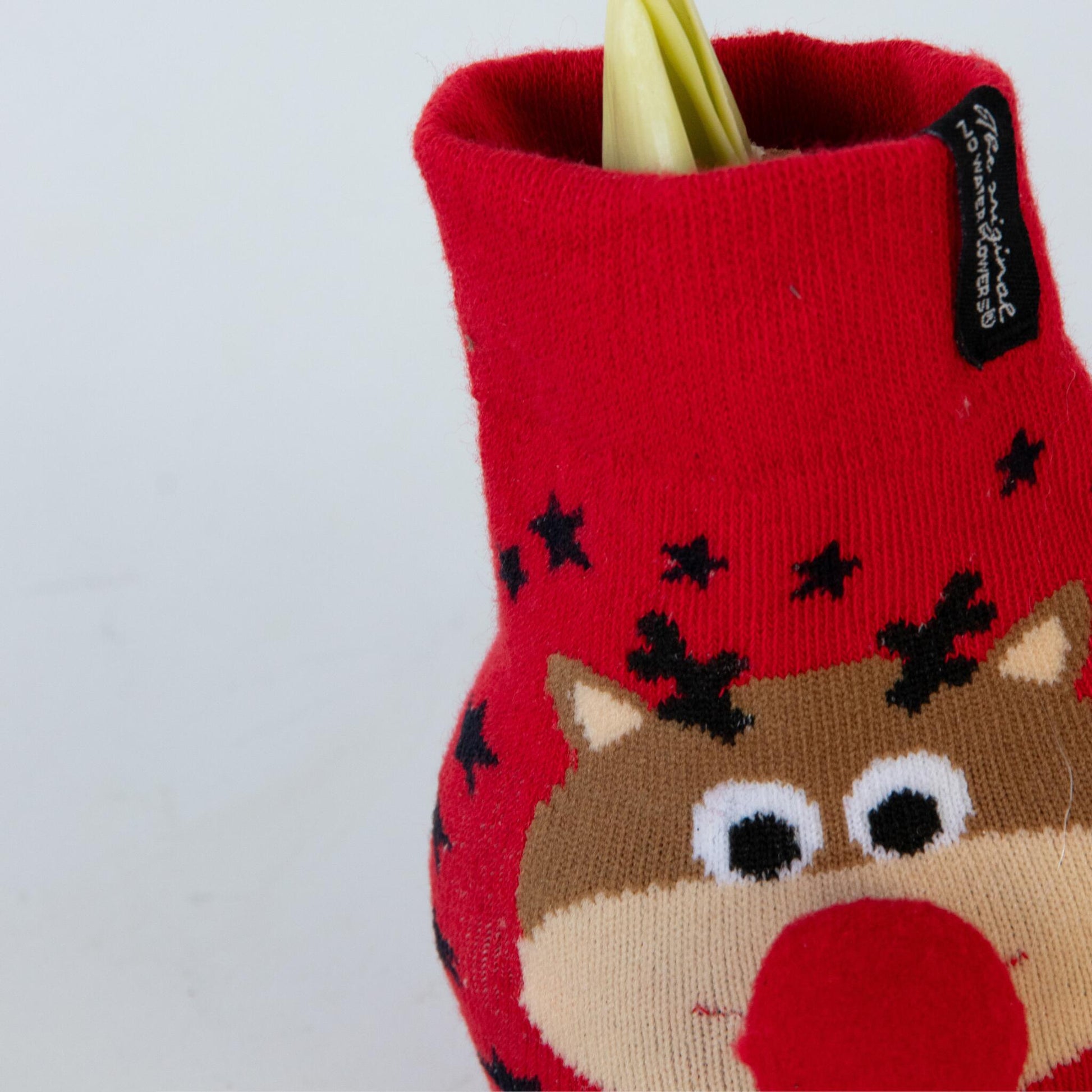 Amarilis - 3 Pzs - Hippeastrum 'xmas Sweater Mix' - Bulbo De Flor - Rojo_3