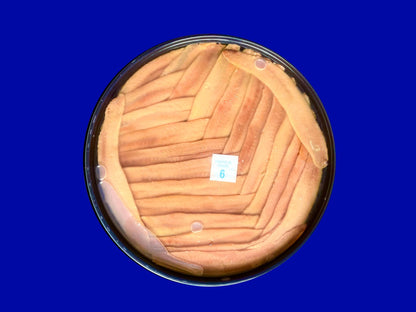 Anchoas De Santoña 25 Uds_1