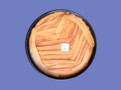 Anchoas De Santoña 50 Uds_1