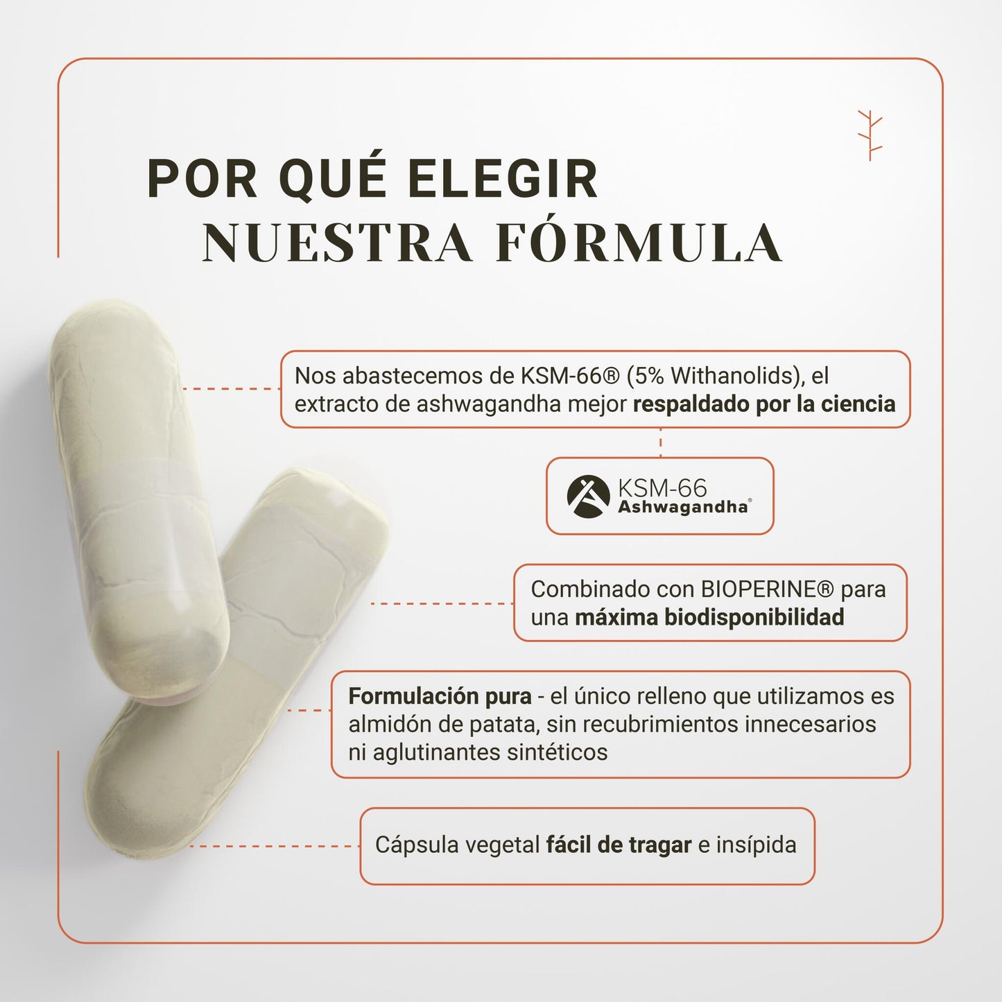 Ashwagandha orgánica ksm-66 + bioperine – antiestrés, energía y equilibrio emocional (120 cápsulas)_2