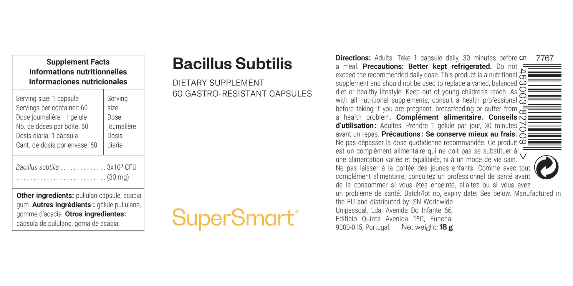 Bacillus Subtilis_1