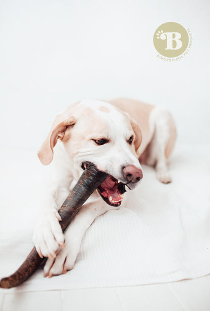 Bimorbox Grande · Pack Snacks Y Juguetes Naturales Para Perros._2