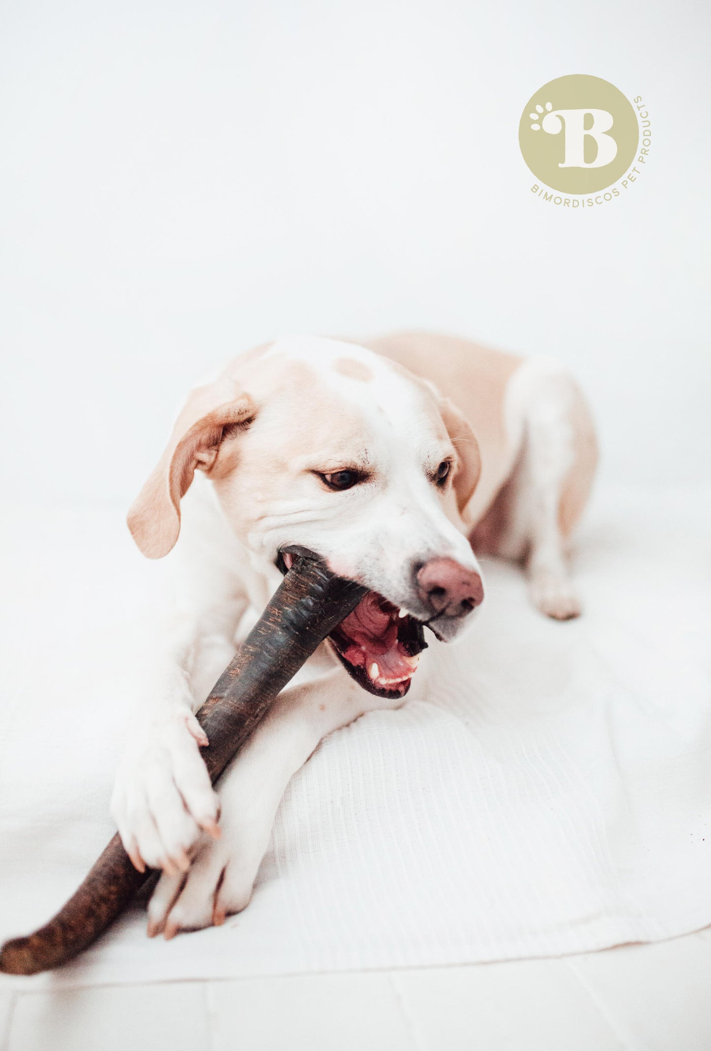 Bimorbox Grande · Pack Snacks Y Juguetes Naturales Para Perros._2