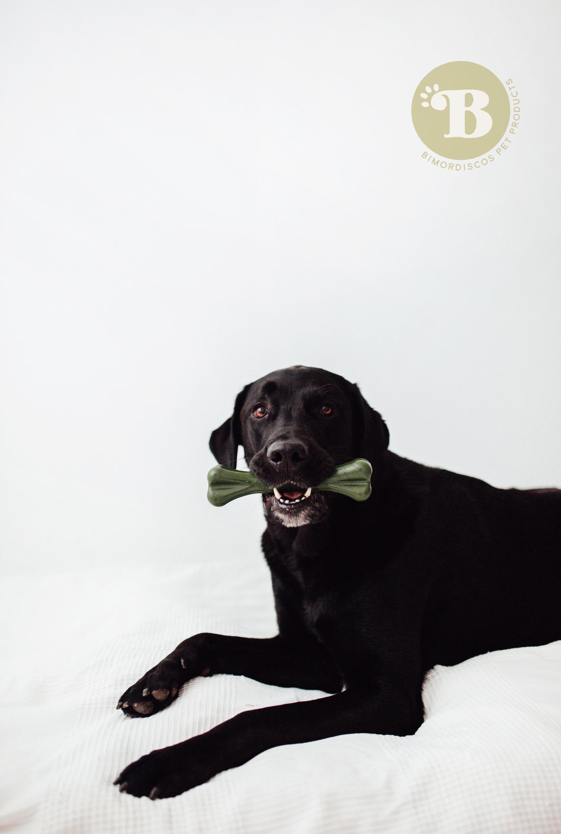 Bimorbox Grande · Pack Snacks Y Juguetes Naturales Para Perros._3