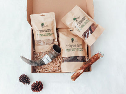Bimorbox Mediana · Pack Snacks Y Juguetes Naturales Para Perros._0