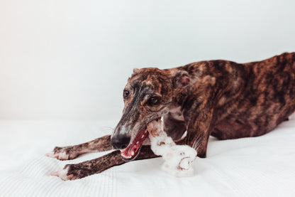 Bimorbox Perros Senior Pequeños – Pack Ahorro Con Pelota, Mordedor De Asta De Ciervo Y Snacks Sin Aditivos_4