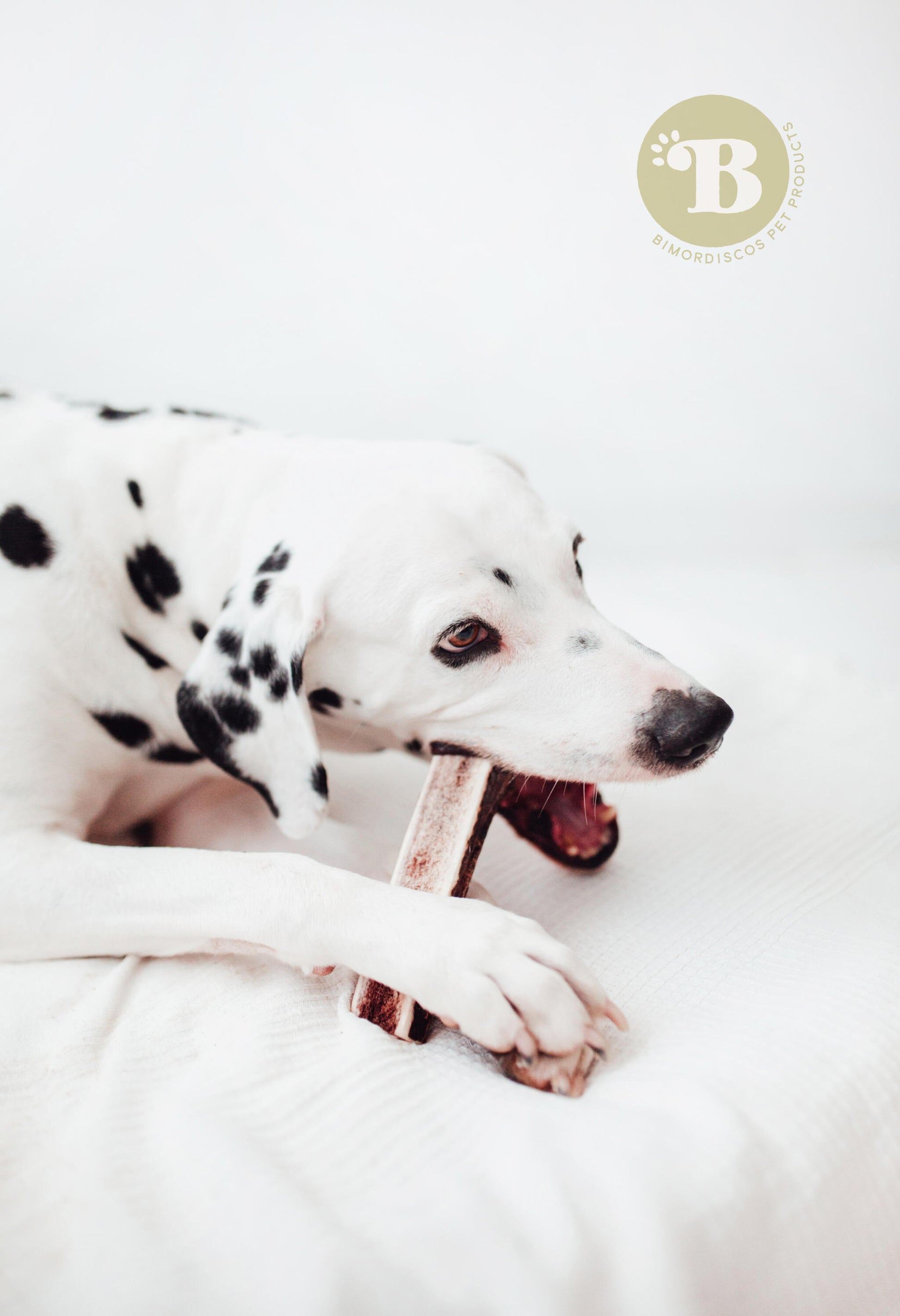 Bimordiscos Asta De Ciervo Partida Para Perros Pack. 2 X M_1