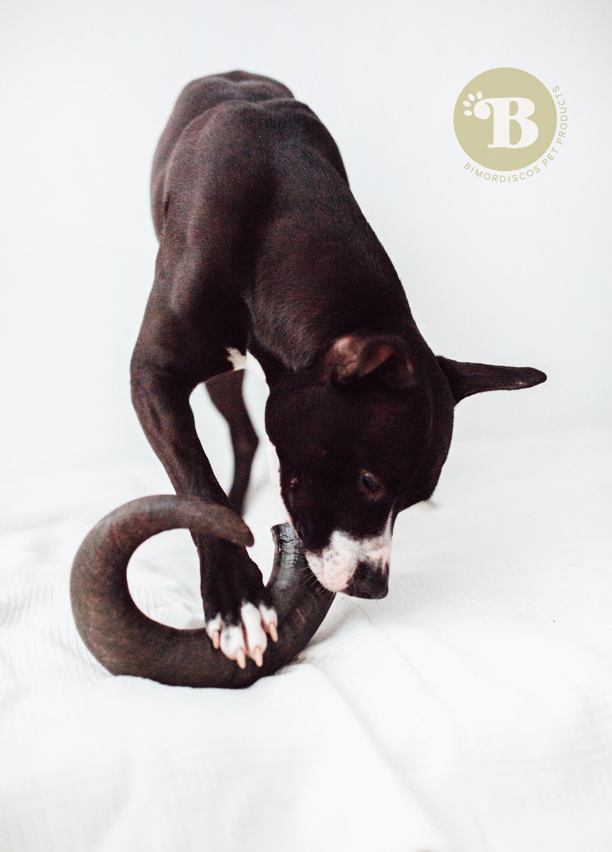 Bimordiscos Cuerno De Búfalo Para Perros. M_1