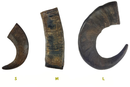 Bimordiscos Cuerno De Búfalo Para Perros Pack. 2 X M_3