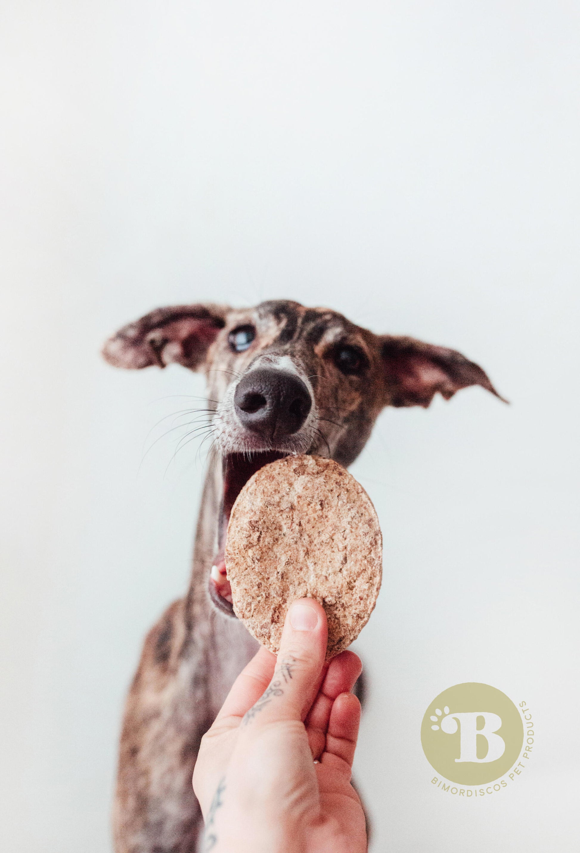 Bimordiscos Hamburguesas De Tripa Verde De Vaca Para Perros · 10 Uds_3