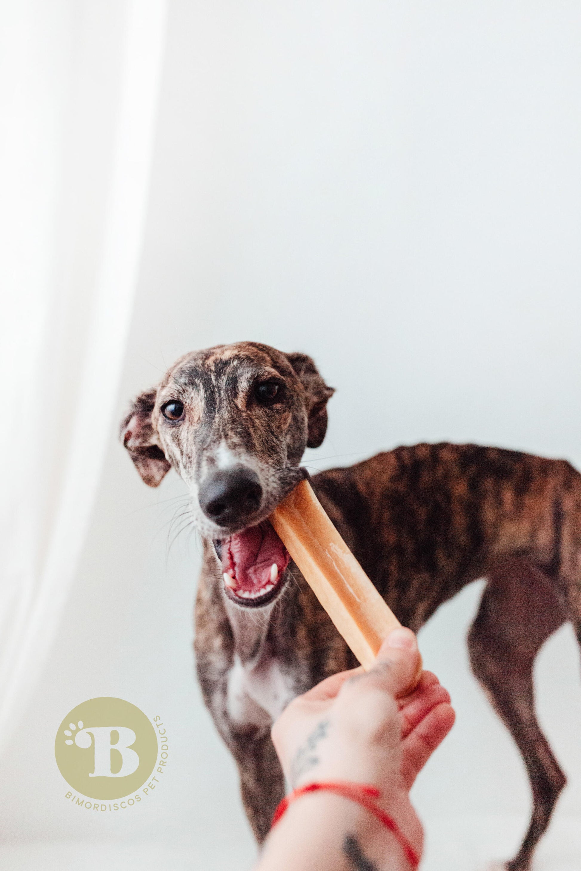 Bimordiscos Hueso De Queso Para Perros. S X 2 Uds._2