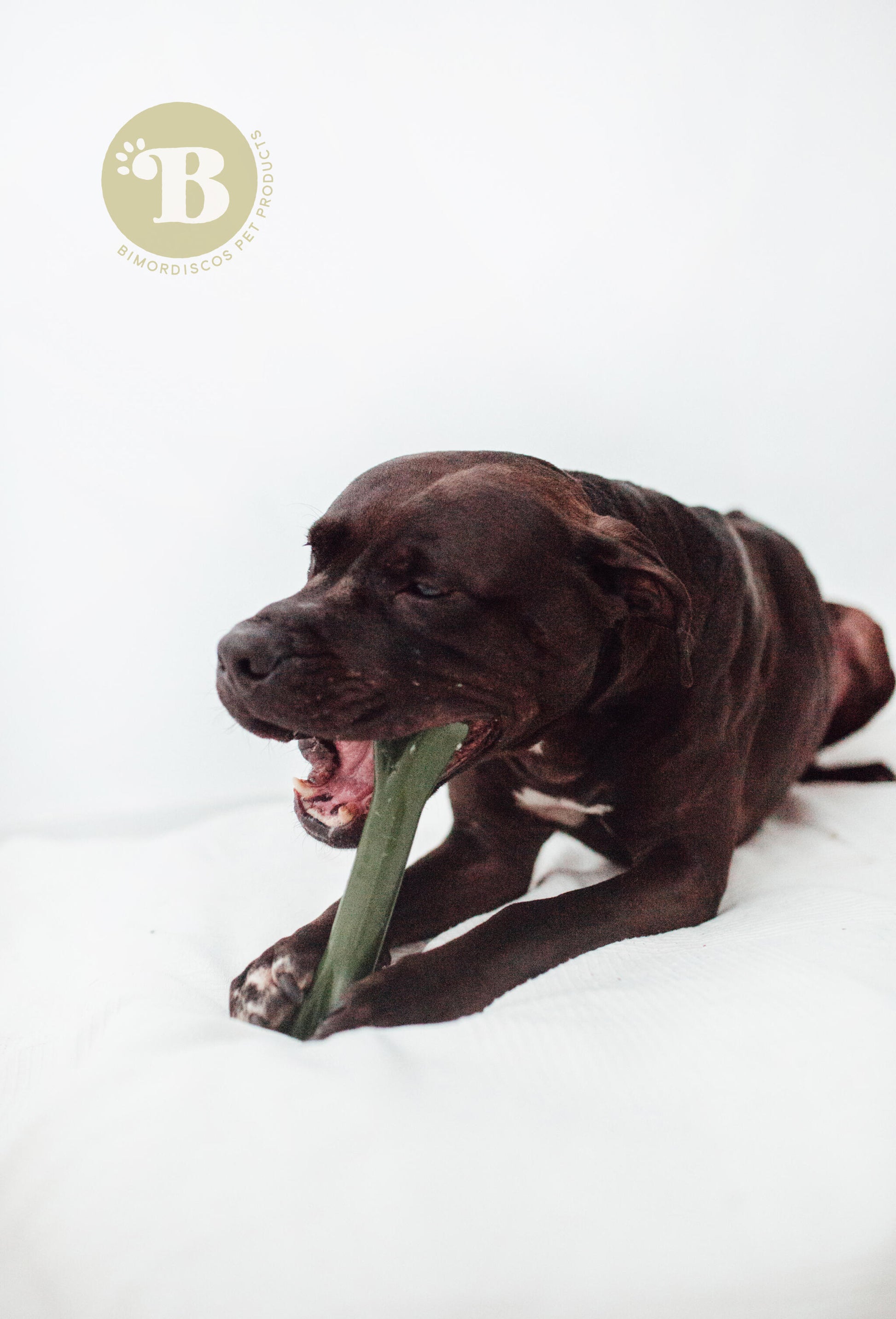 Bimordiscos Juguete Indestructible Para Perros · Hueso Para Perros. M_1