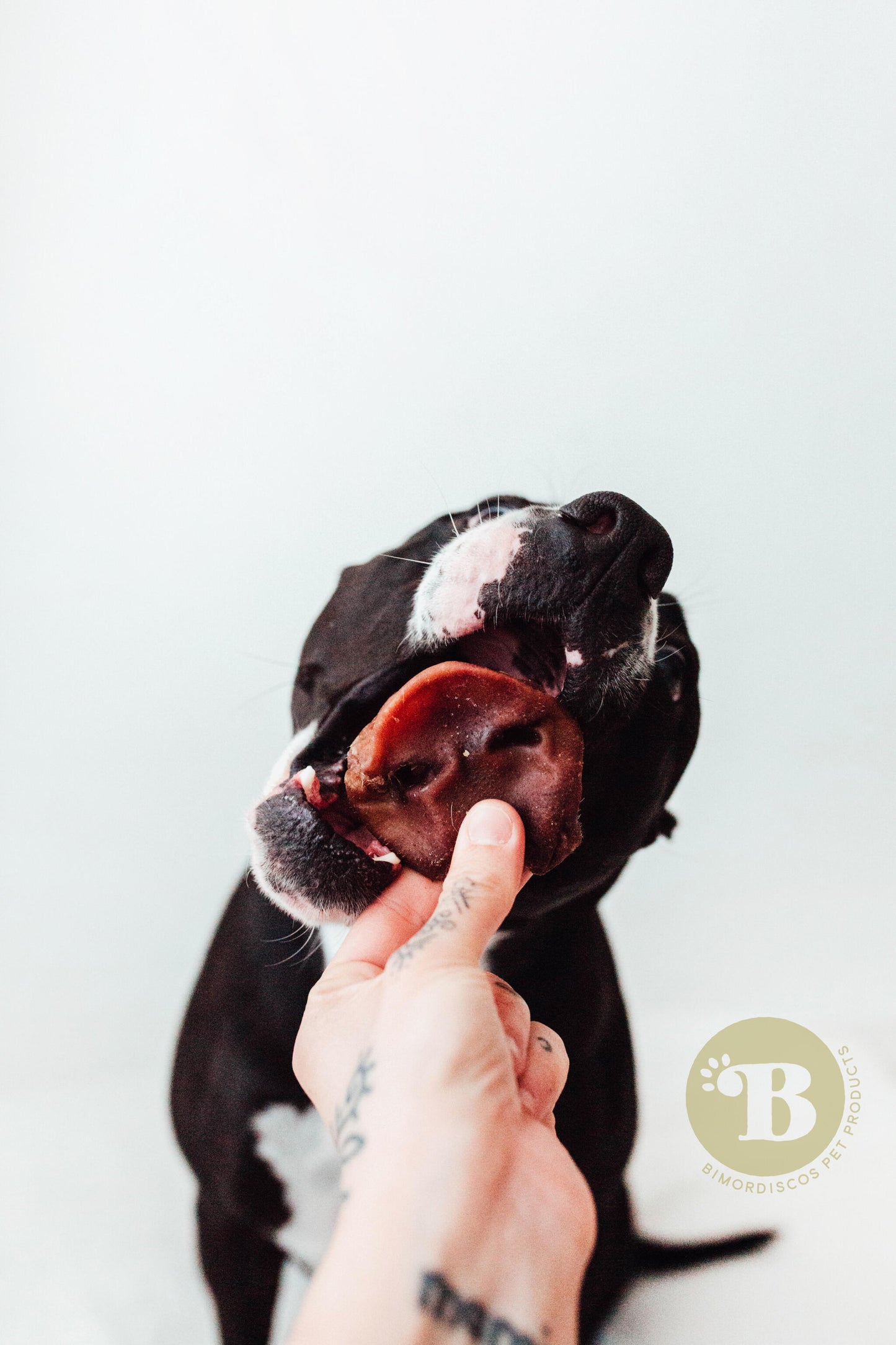 Bimordiscos Morros De Cerdo Para Perros · 100g_2