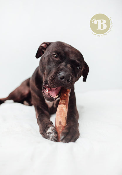 Bimordiscos Palo De Olivo Para Perros. L_1