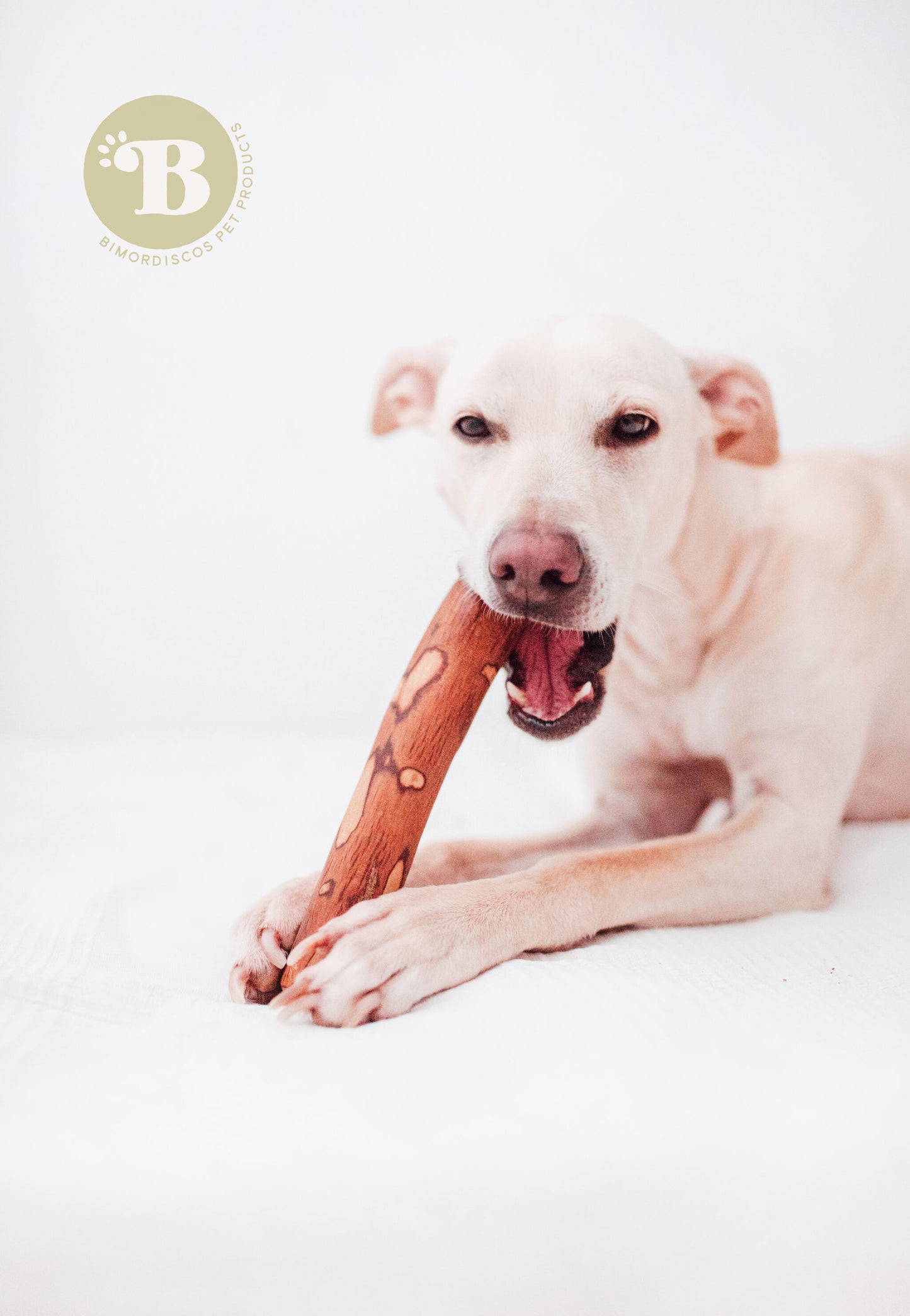 Bimordiscos Palo De Olivo Para Perros Con Aceite De Salmón. S_1