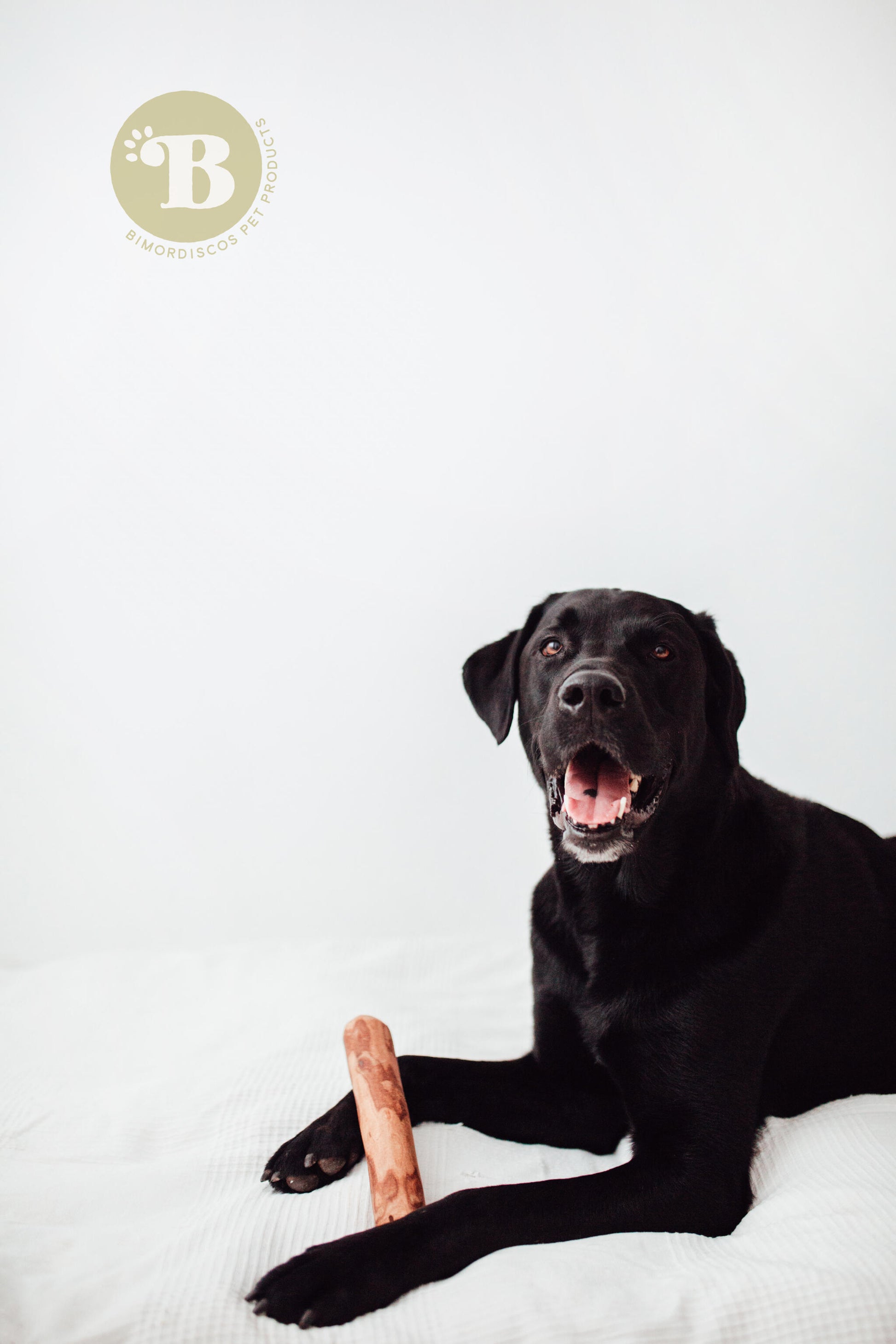 Bimordiscos Palo De Olivo Para Perros Con Aceite De Salmón Pack. 2 X M_2