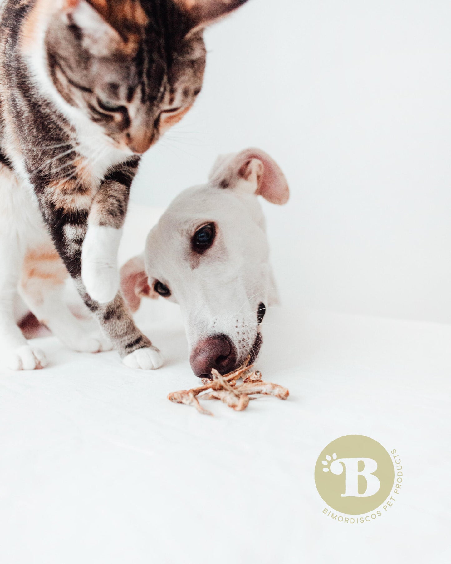 Bimordiscos Pescados Deshidratados Para Perros Y Gatos · 250g_2