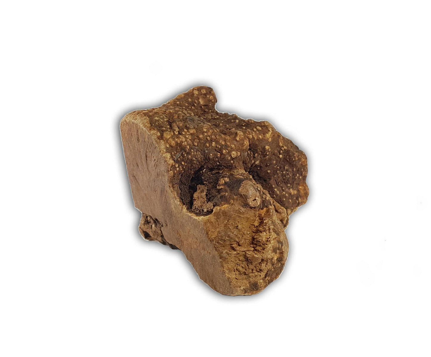 Bimordiscos Raíz De Brezo Para Perros Con Aceite De Salmón Pack. 2 X L_1