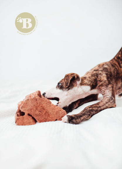 Bimordiscos Raíz De Brezo Para Perros Con Aceite De Salmón Pack. 2 X M_1