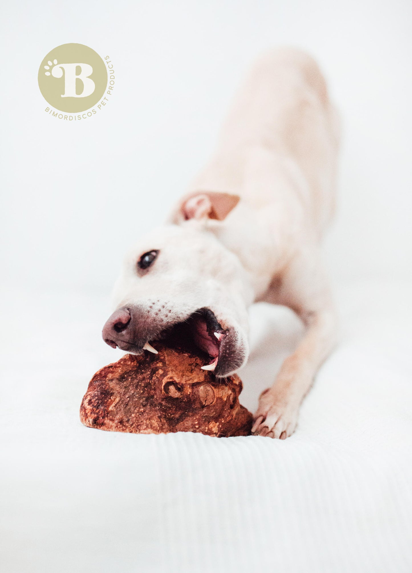 Bimordiscos Raíz De Brezo Para Perros Con Aceite De Salmón. M_1