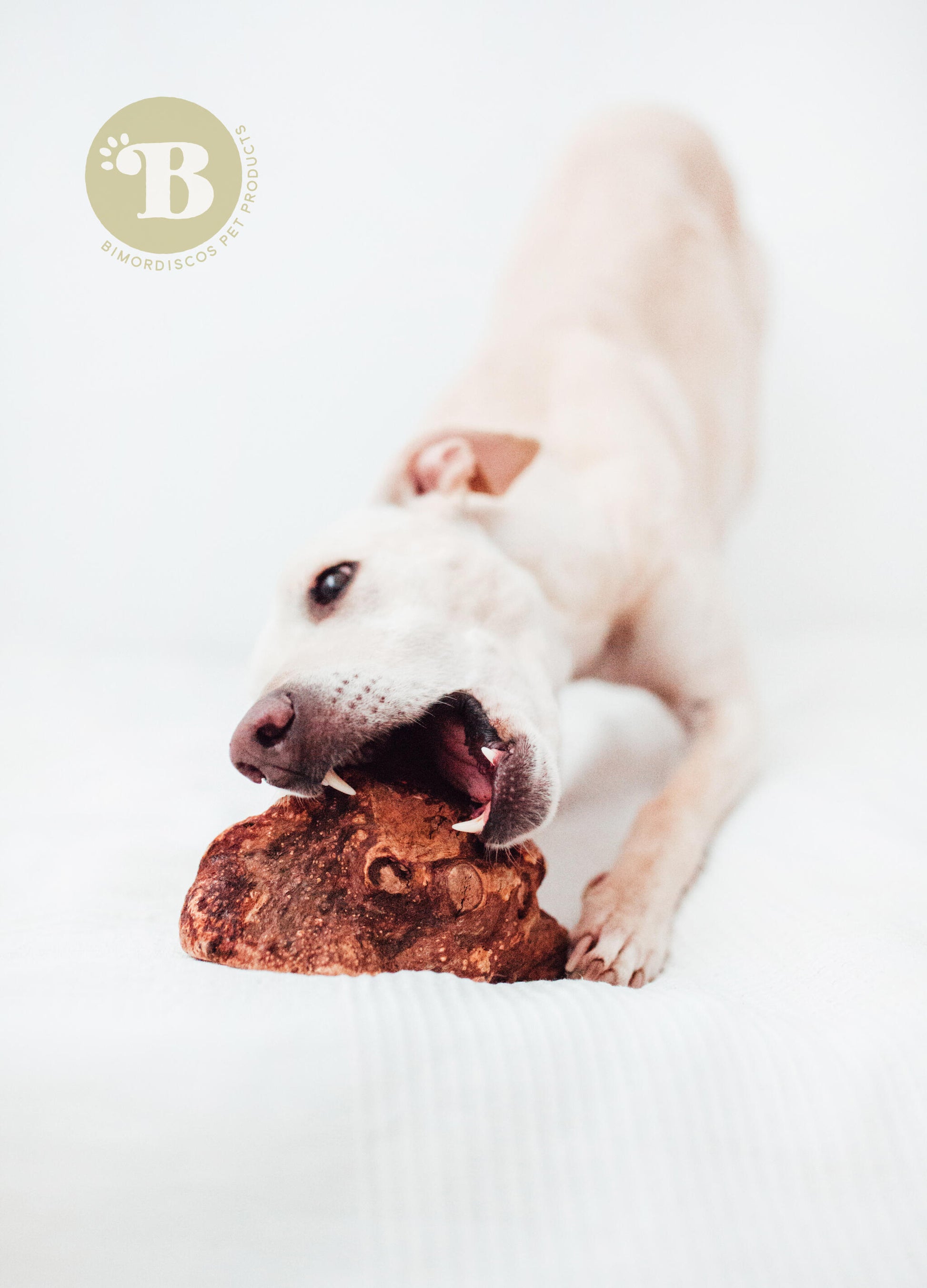 Bimordiscos Raíz De Brezo Para Perros Con Aceite De Salmón. S_1