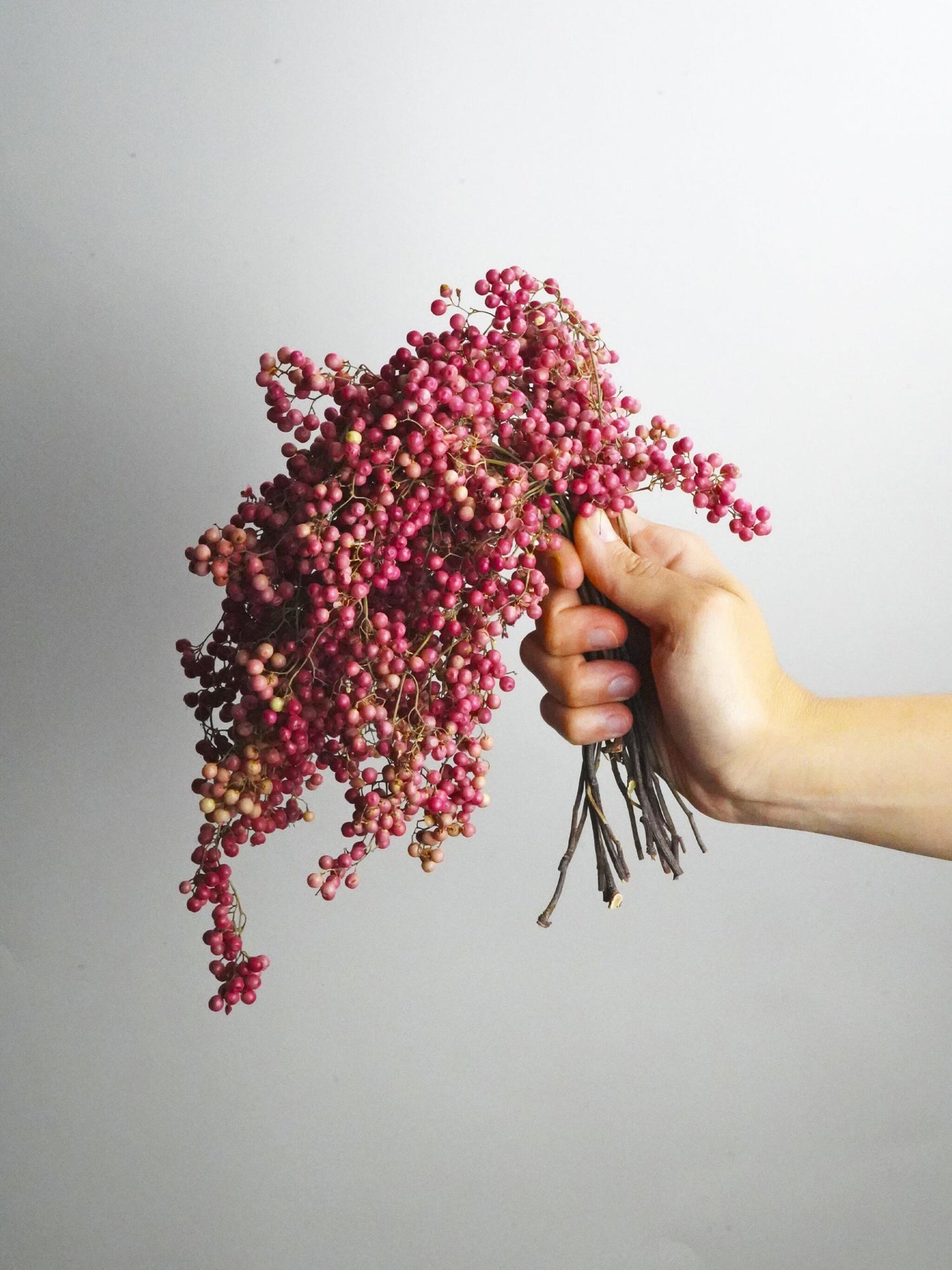 Bolas De Falsa Pimienta_0